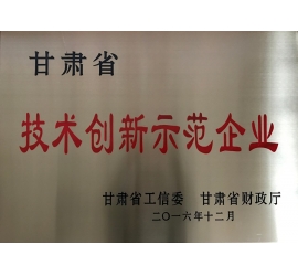甘肃省技术创新示范企业