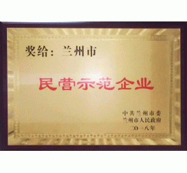 兰州市民营示范企业