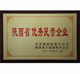 陕西省优秀民营企业