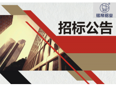 铭帝集团2021年集中采购招标公告