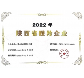 铭帝集团荣获瞪羚企业称号