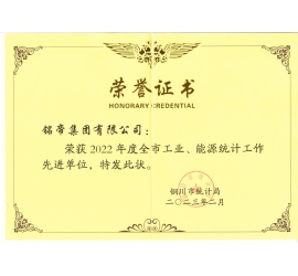 铭帝集团有限公司荣获2022年度全市工业、能源统计工作先进单位