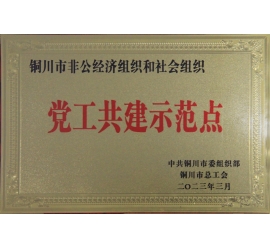 铭帝集团有限公司荣获铜川市非公经济组织和社会组织党工共建示范点