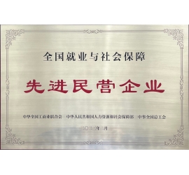 铭帝集团有限公司荣获全国就业与社会保障先进民营企业